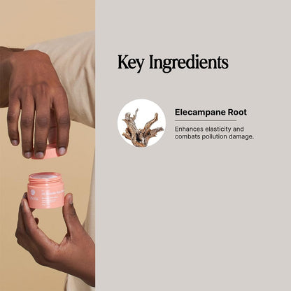 All Rounder Skin Cream | With Elecampane Root Extract | Fights Pollutants | Boosts Radiance in 14 Days