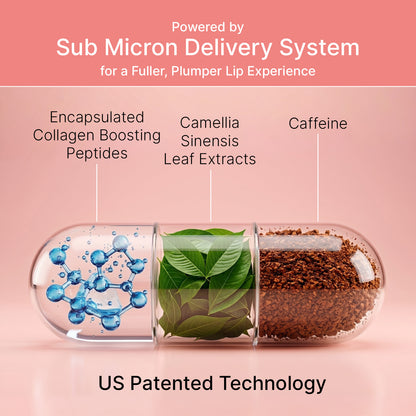 Lip balm with ingredients and delivery system on a pink background