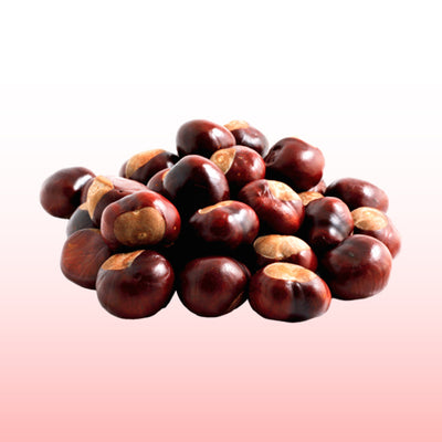 Horse Chestnut Seed