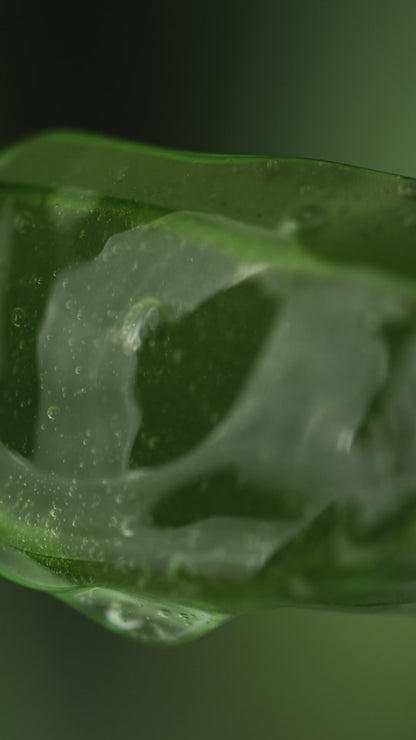 Aloe Hydrating Face Wash