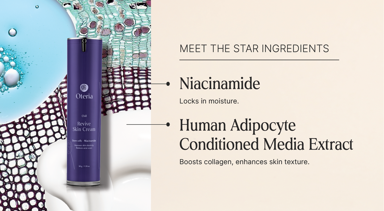 Product Features