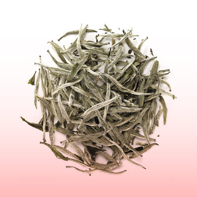 White Tea Extract